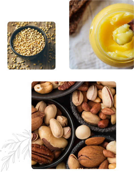 ghee health nuts mlk almonds avocados figs yams ayursentials ojas drops 